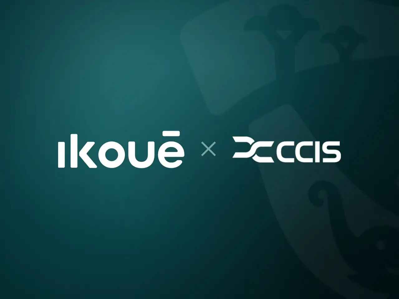IKOUĒ - Avec la CCIS, co-construire le numérique centrafricain